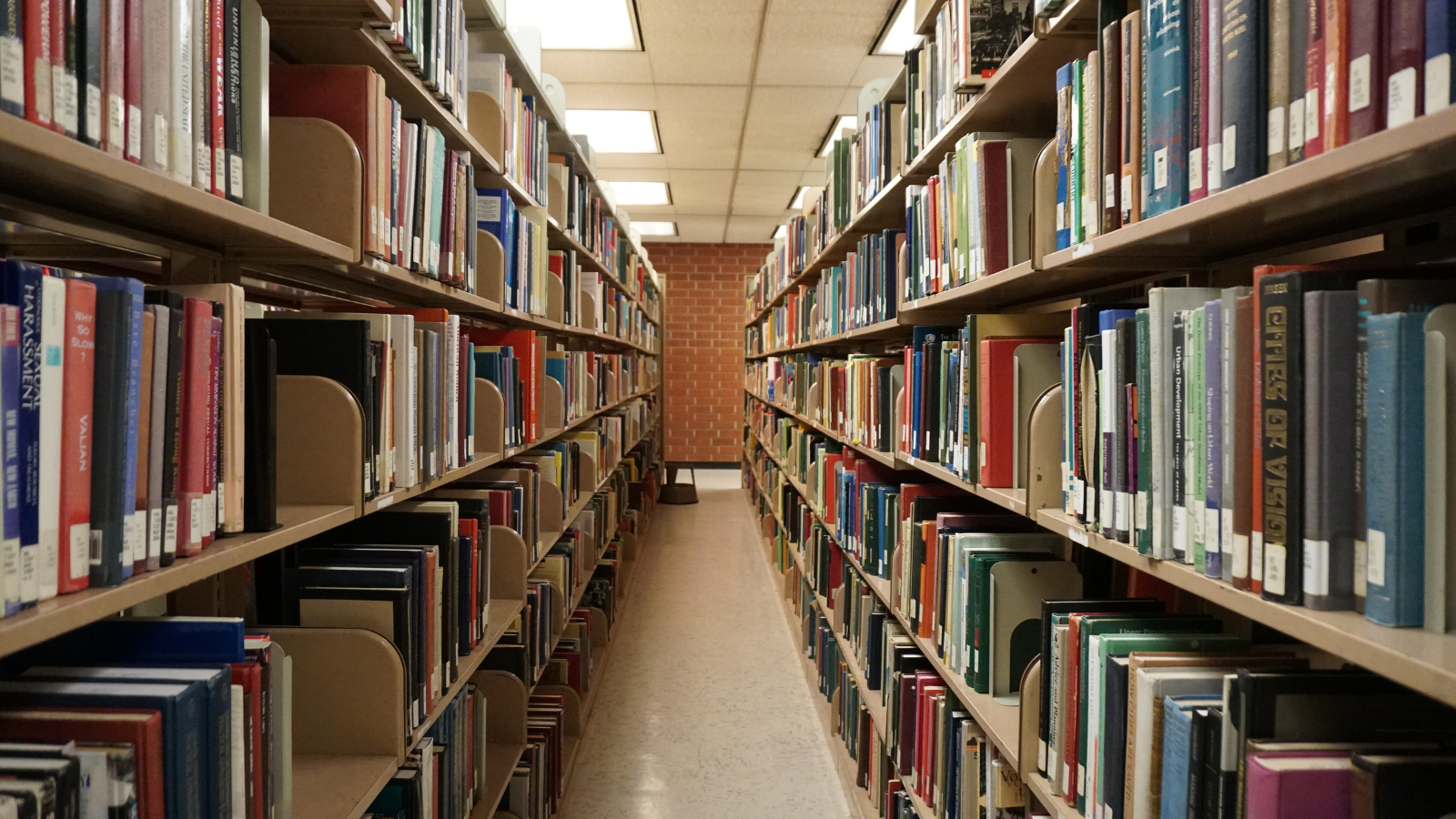 image of shelves at a library